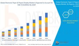 Electronic Paper (E-Paper) Display Market: Global Trends, Growth Opportunities, and Future Outlook (2025–2033)