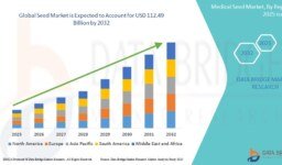 Global Seed Market Size, Growth, and Forecast to 2032